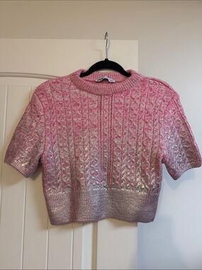 Zara Pink Metallic Ombre Cable-Knit Short Sleeve Sweater